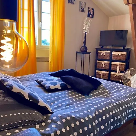 Homestay Le Havana-maison D'hotes Bergerac